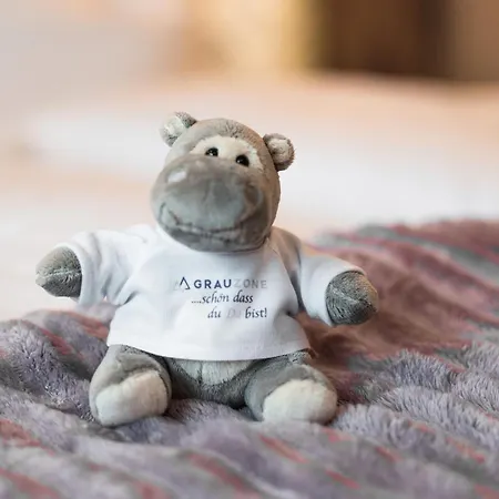 Grauzone App Nr 1 Cozy * Grossarl